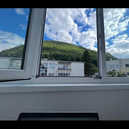 Perfect Апартаменты Брашов